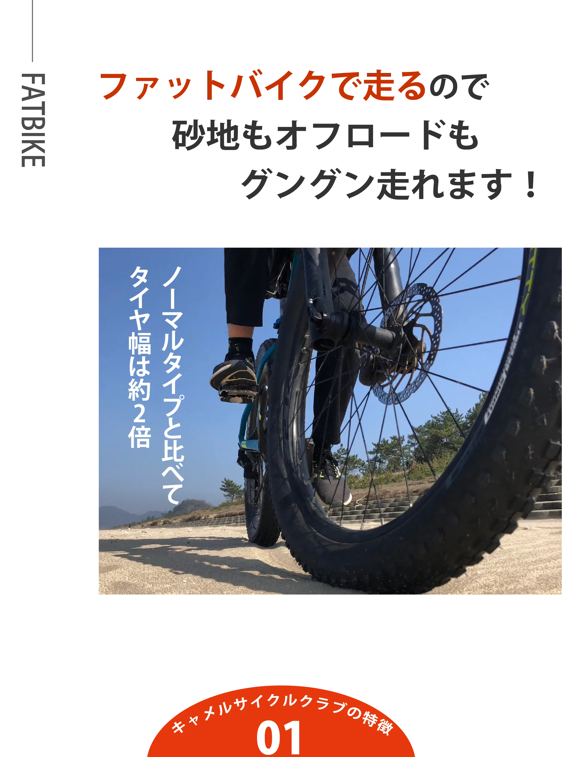 Camel Cycle Clubのファットバイク